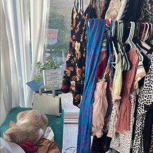 Live Floral Black Dress collection